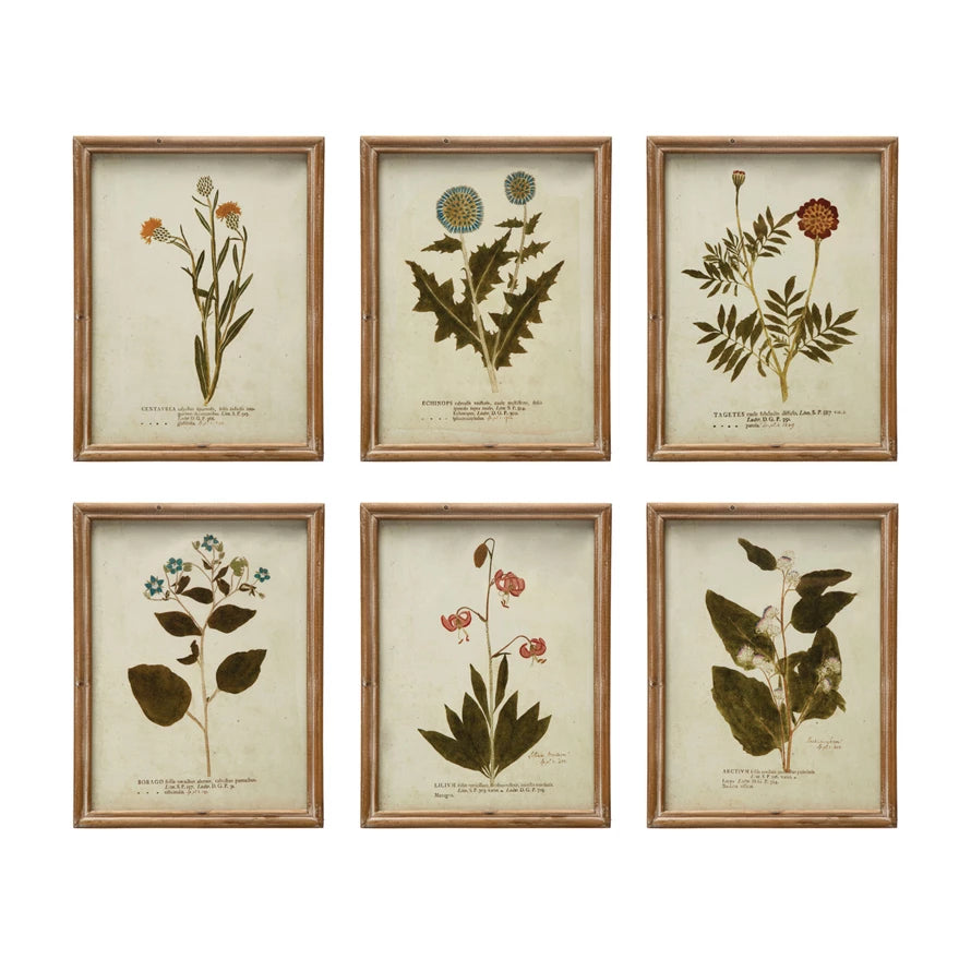 Creative Co-Op Wood Framed Glass Wall Décor w/ Botanical