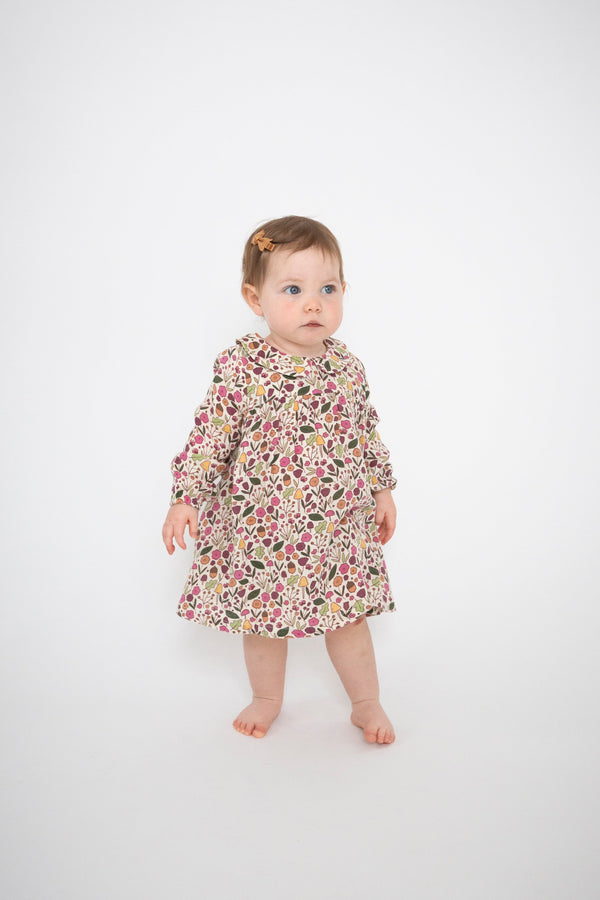 Angel Dear Acorn Floral Peter Pan Collar Dress and Diaper Cover