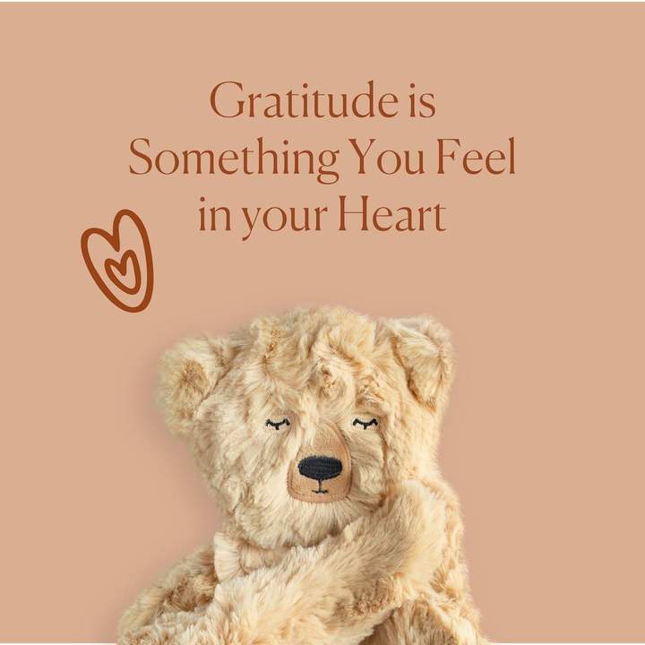 Slumberkins Honey Bear Snuggler and Book Set- Gratitude Collection